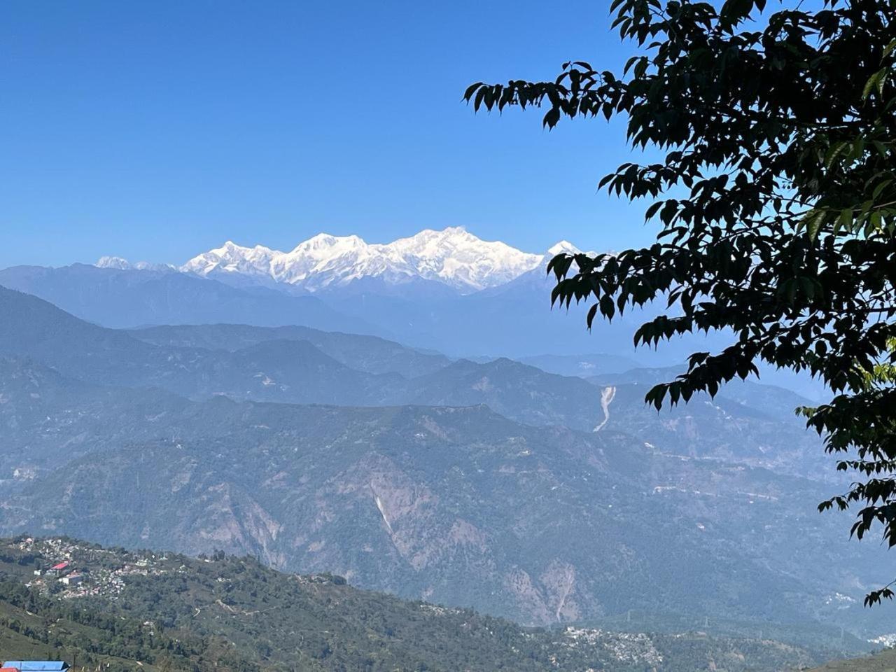 Forest Lodge - 80 Mts From Mall Road Darjeeling  Exterior photo